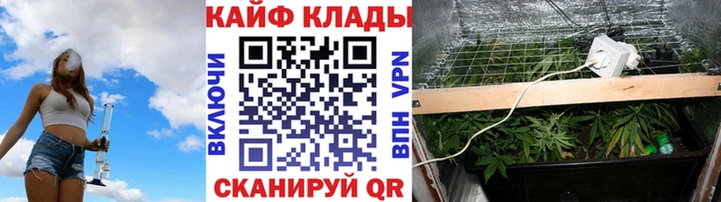 Какие есть наркотики Выборг гидра как зайти  АМФ  Гашиш  Галлюциногенные грибы  СК  КОКАИН 
