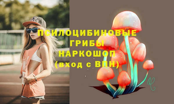 твердый Володарск