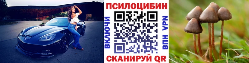 Псилоцибиновые грибы Psilocybine cubensis  как найти закладки  кракен   Выборг 