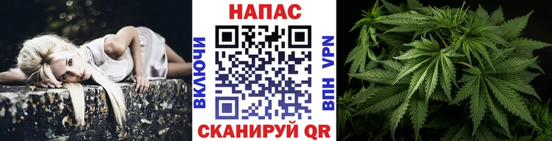 что такое наркотик  Выборг  МЕГА ТОР  Марихуана Amnesia 